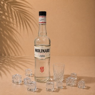 Sambuca
